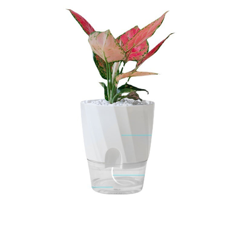 Lazy Green Dill Plant Automatic Water Feeding Small Flower Pot