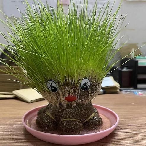 Seed doll