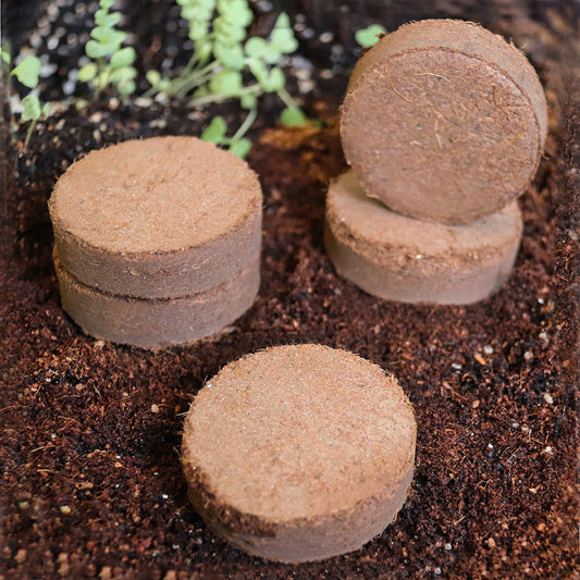 Nutrient Soil Medium Vegetable Planting And Seedling Block