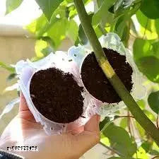 Plant Propogation Ball/Plant Root Ball (Pack of 5 pcs)