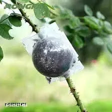 Plant Propogation Ball/Plant Root Ball (Pack of 5 pcs)